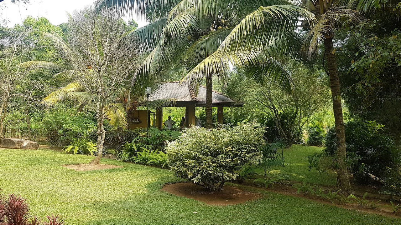 The Villa Tranquilla