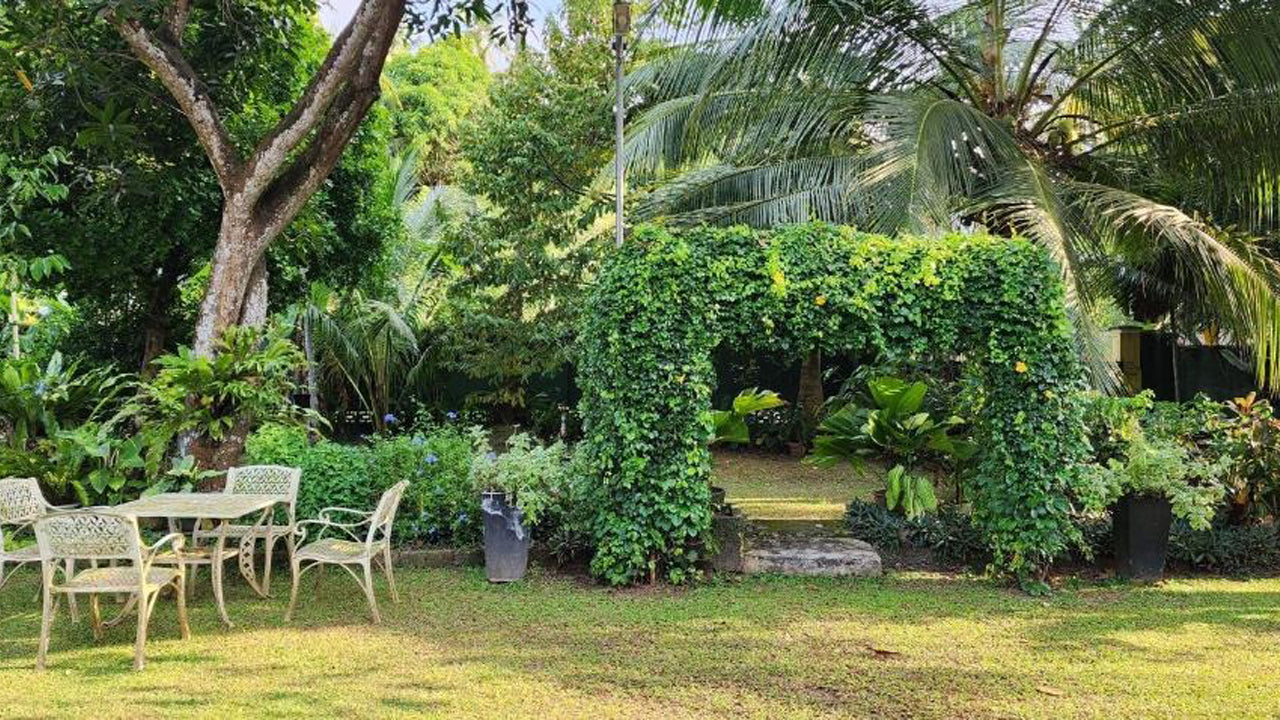 Gampaha Bungalow CHARAKAMA Holiday Home, Gampaha