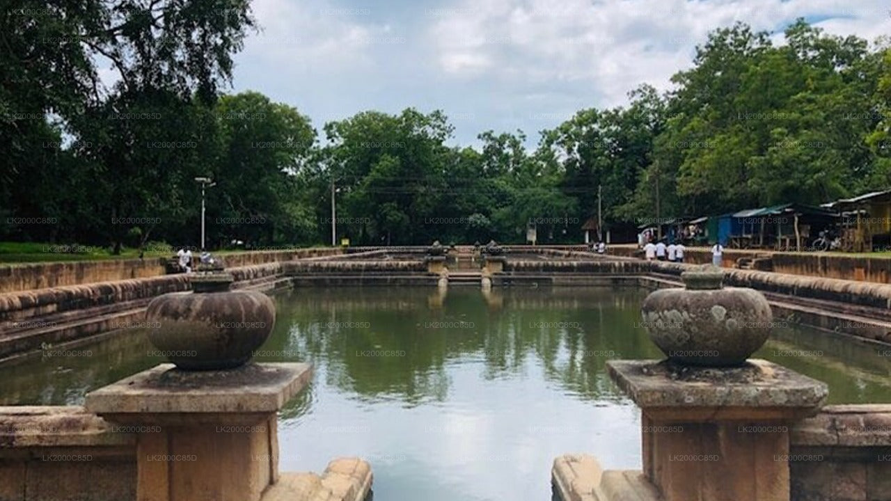 Anuradhapura pühapaiga giidiga ekskursioon sissepääsupiletitega