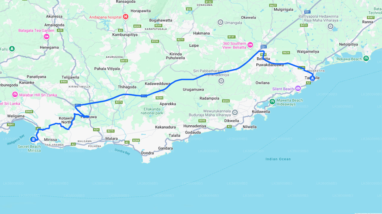 Dolphin Watching Boat Tour from Tangalle