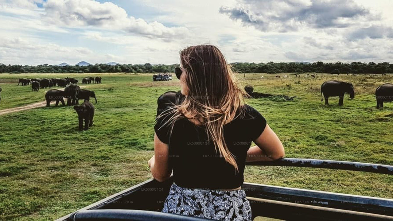 Private Tour from Ella to Hiriketiya with Udawalawe Safari