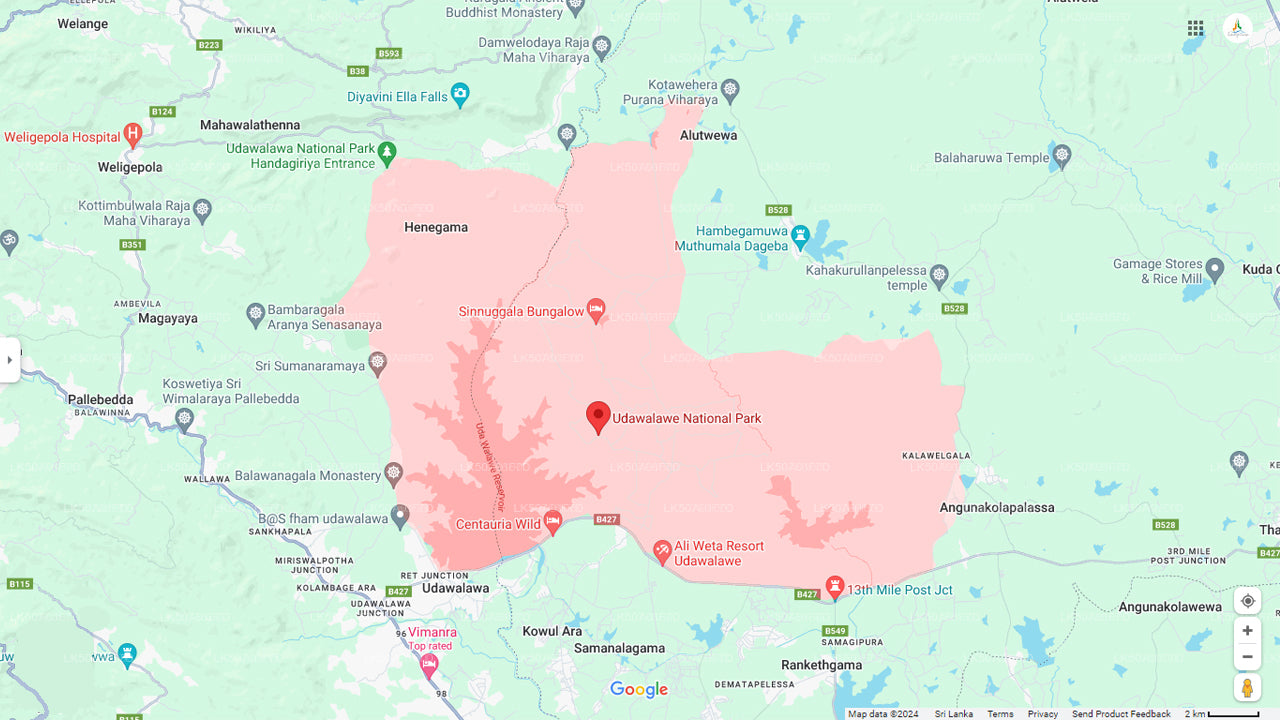 Udawalawe rahvuspargi privaatne safari loodusteadlasega