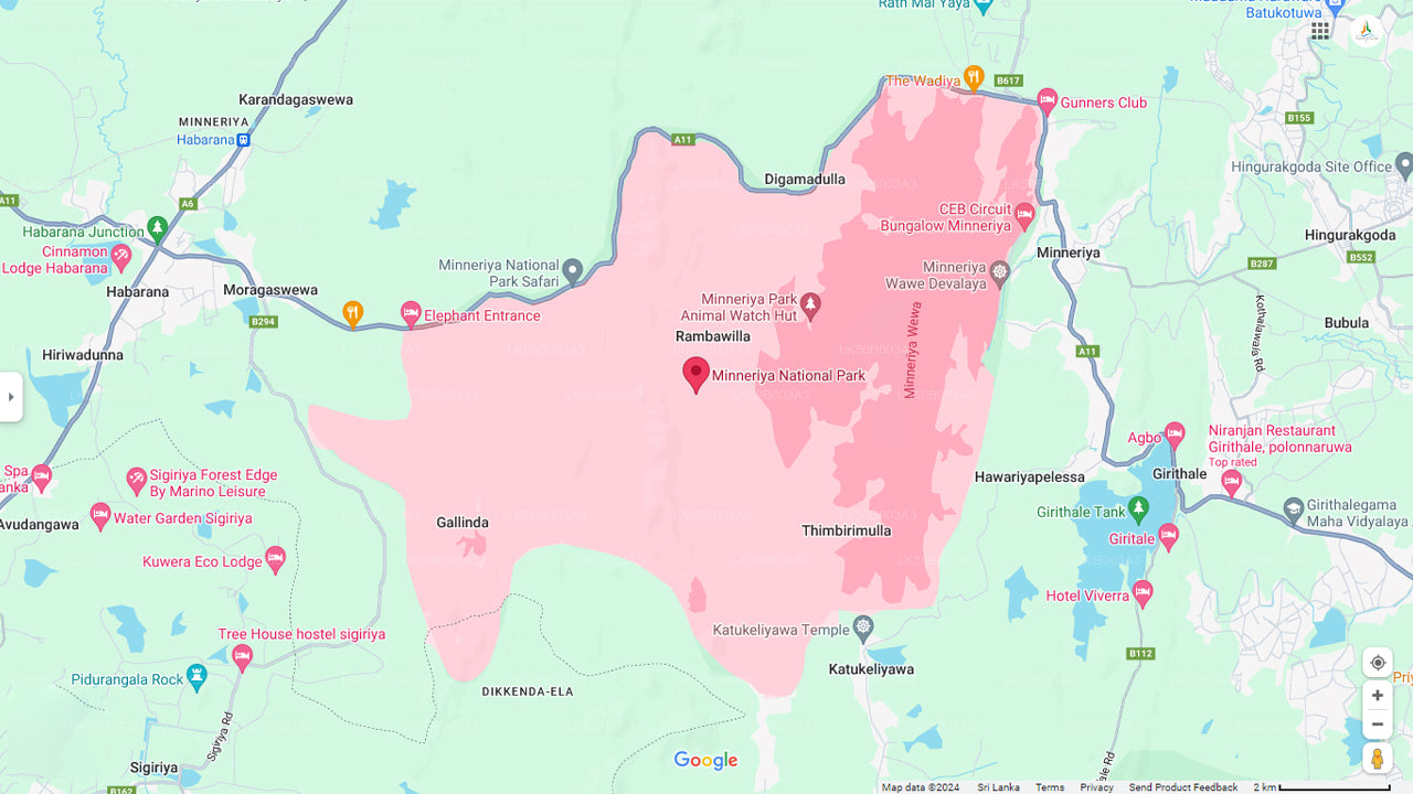 Minneriya rahvuspargi privaatne safari