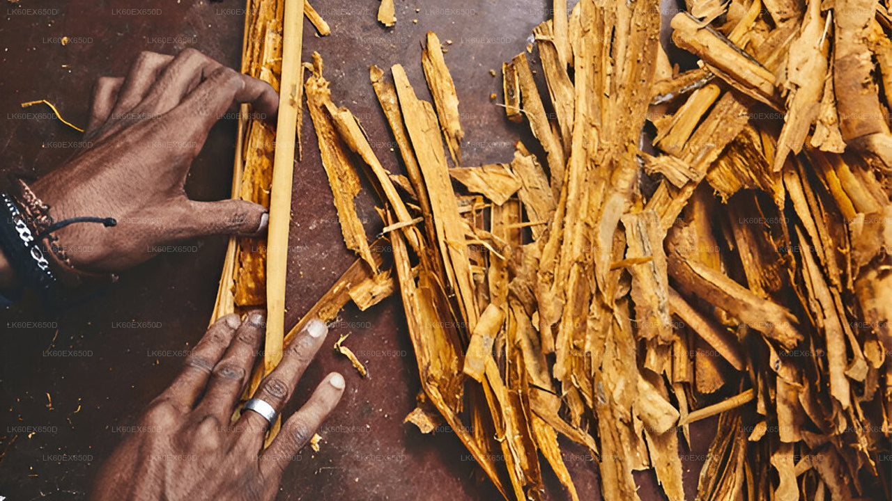 Private Cinnamon Experience from Weligama