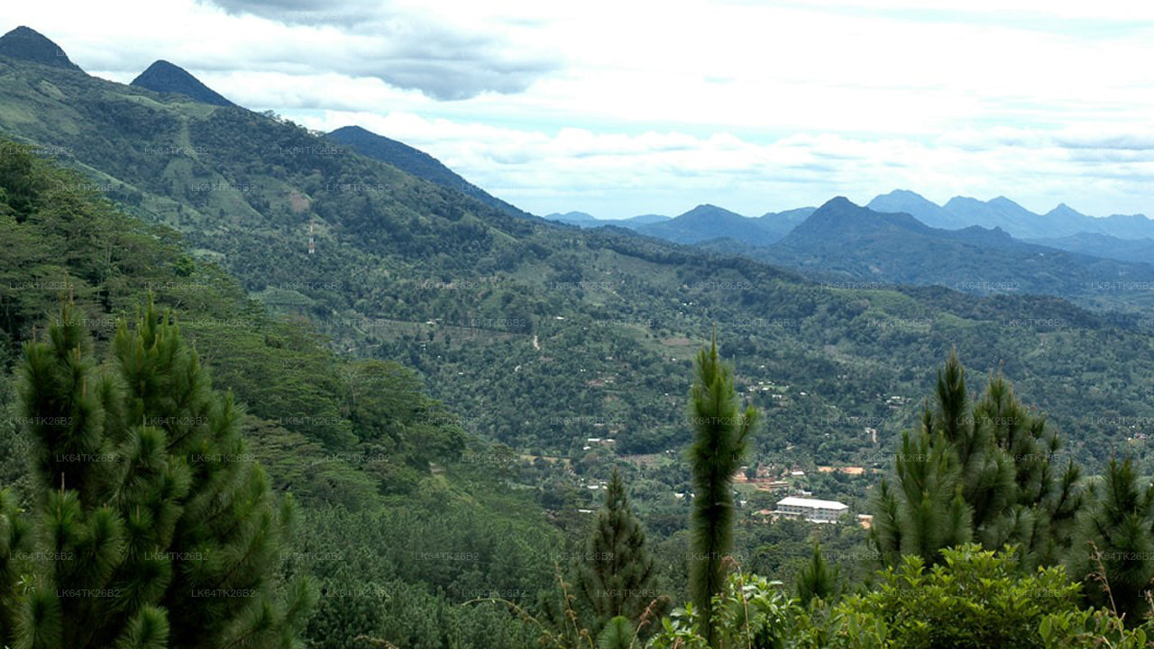 Matk Sinharaja vihmametsast Lõvikaljule