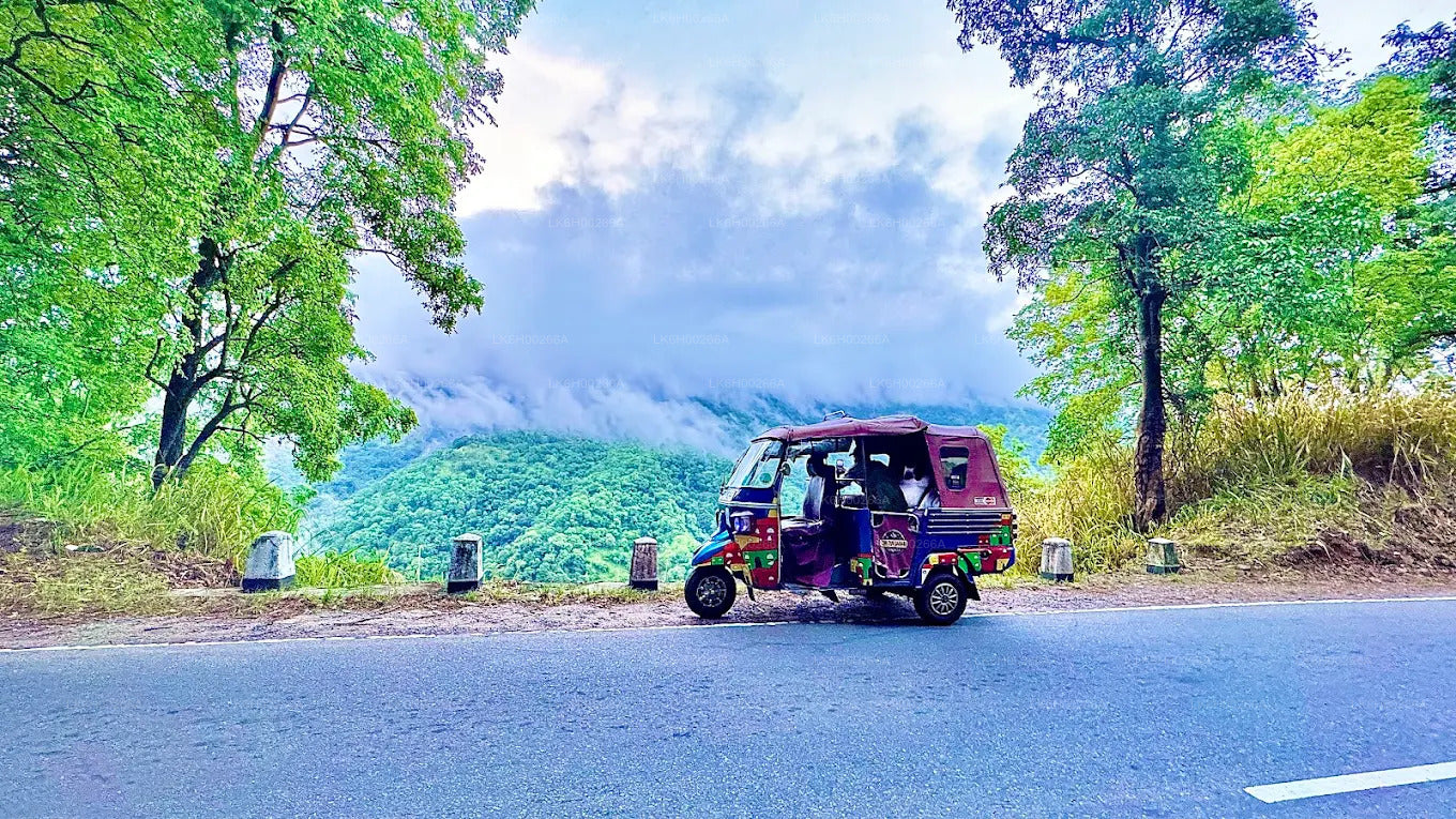 Lõunaranniku Tuk Tuk Safari Galle'ist