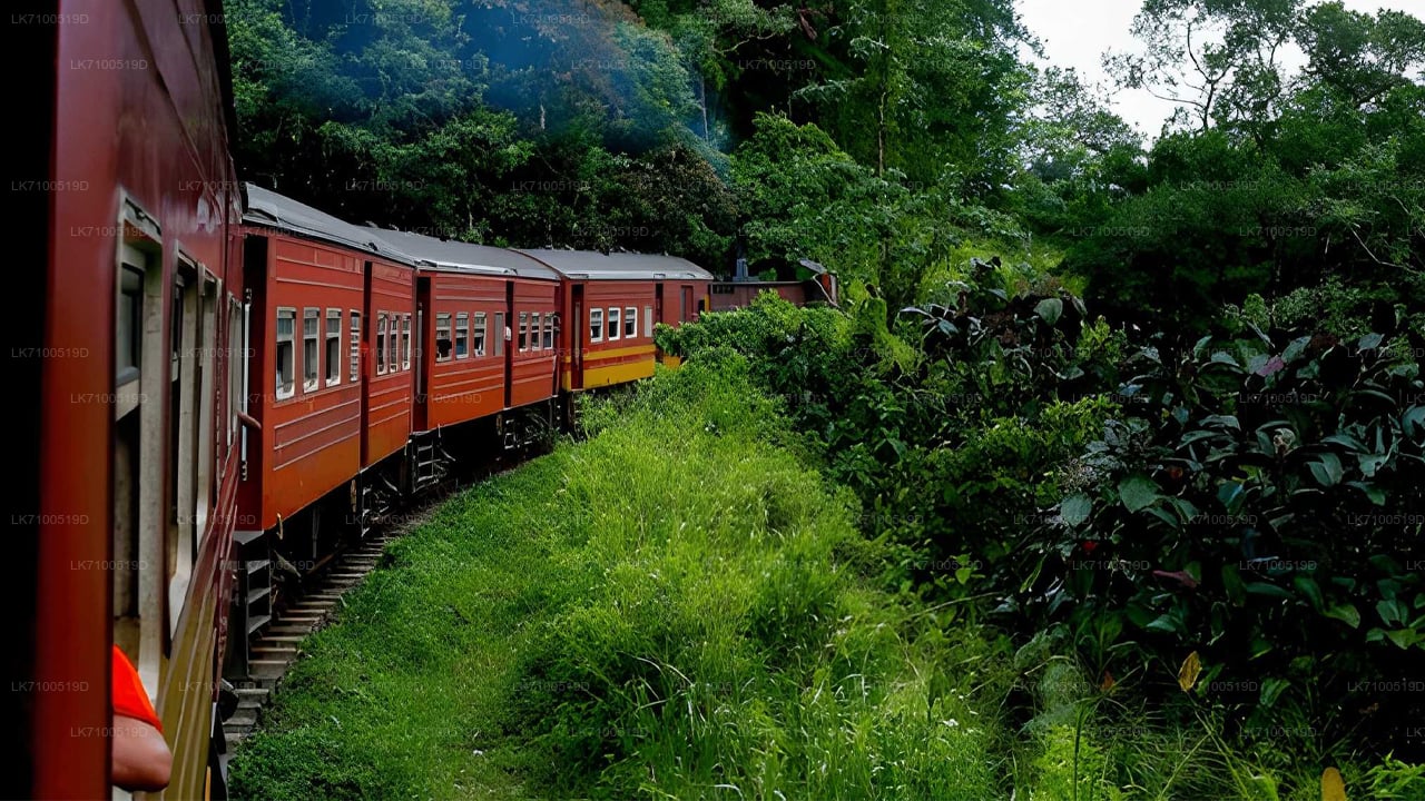 Rongiga Ambewelast Ellasse (rong nr 1005/1015)