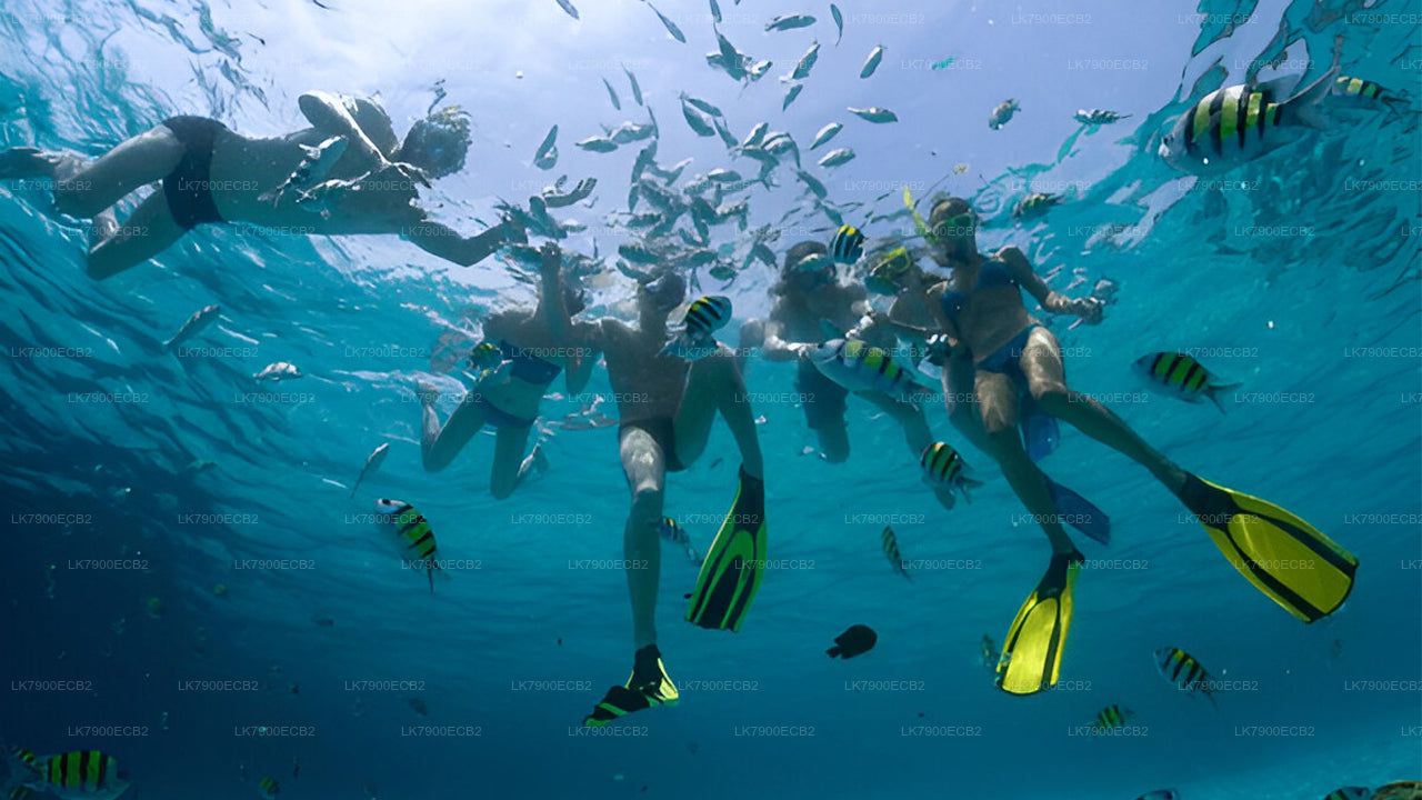 2-öine kruiisikogemus Mirissast Ocean Diamondil