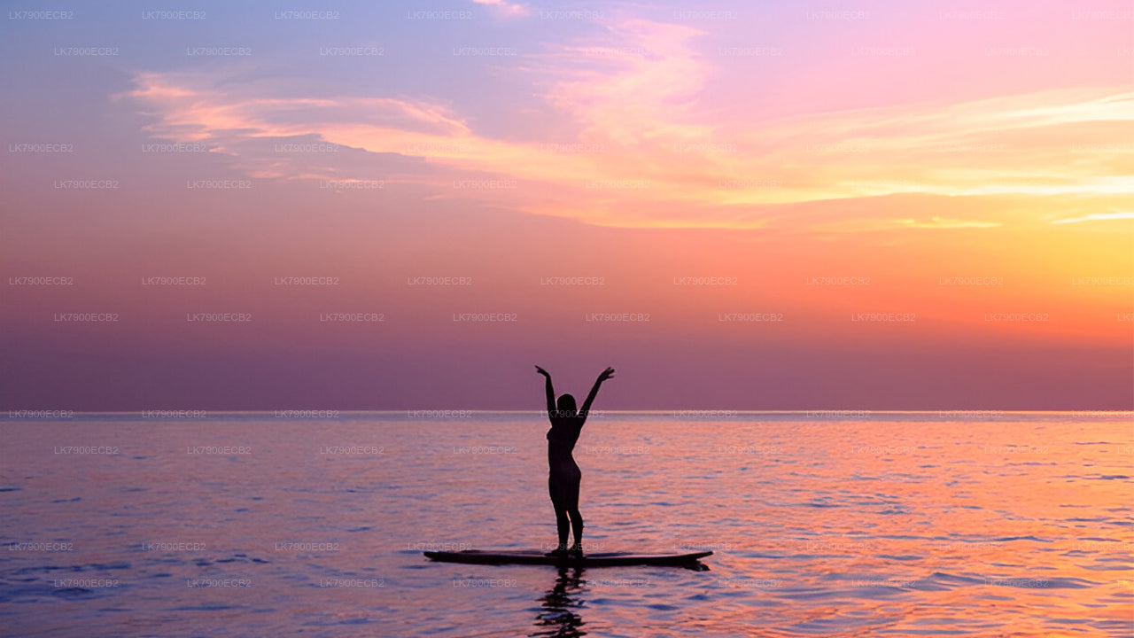 6-öine kruiisikogemus Mirissast Ocean Diamondil