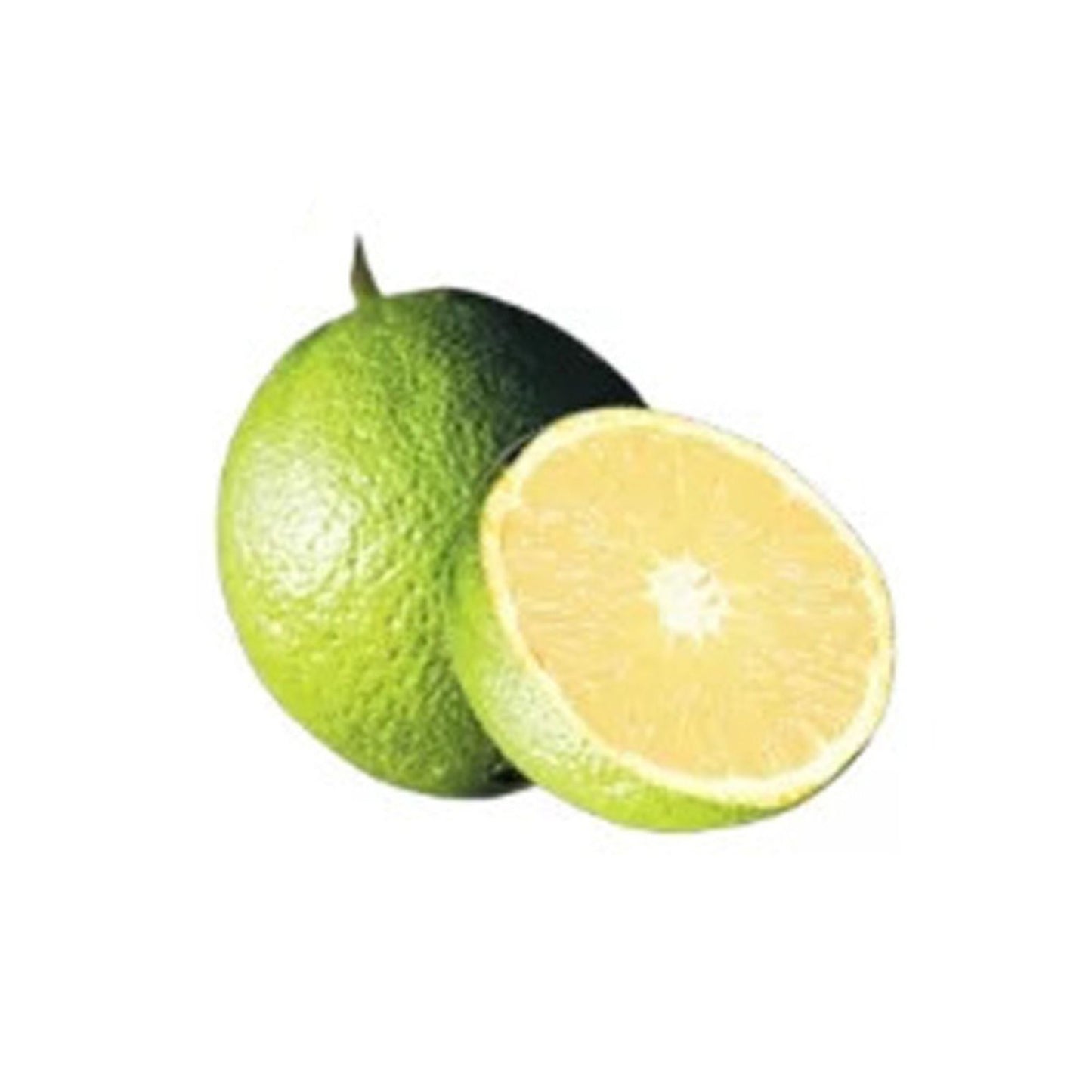 Lakpura® Bibila Sweet Orange Plant