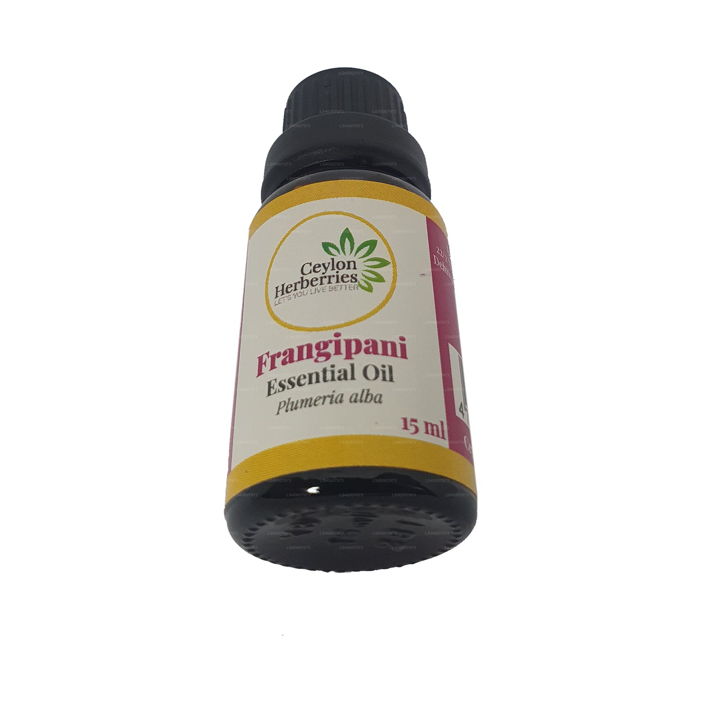 Ceylon Herberries Frangipani Essential oil (Plumeria alba) 15ml