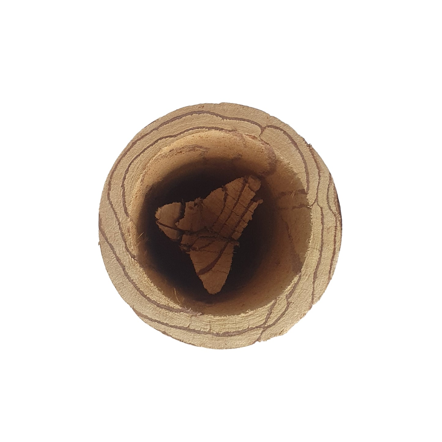 Lakpura® Kothala Himbutu (Salacia reticulata) kruus