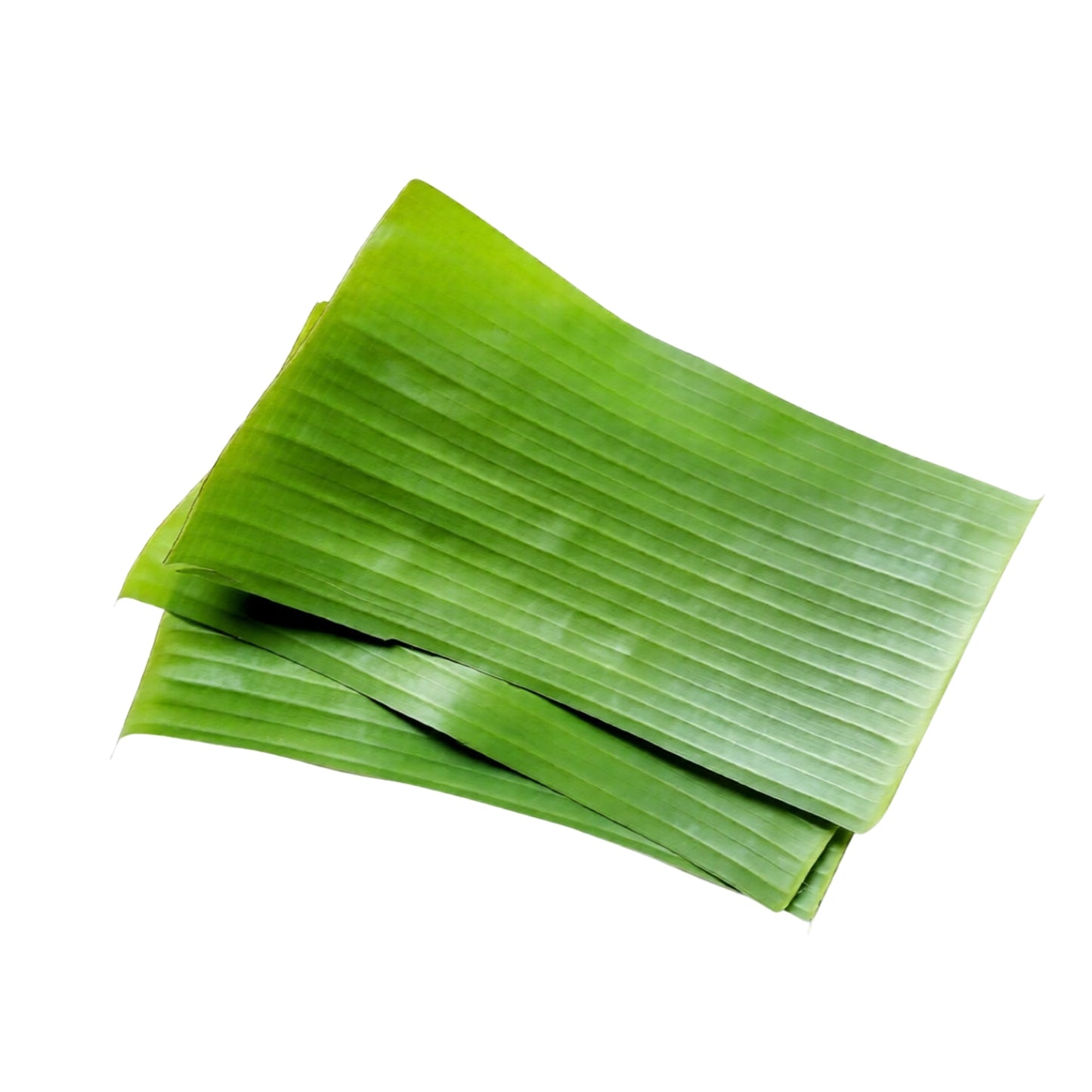 Lakpura® Fresh Banana Leaves