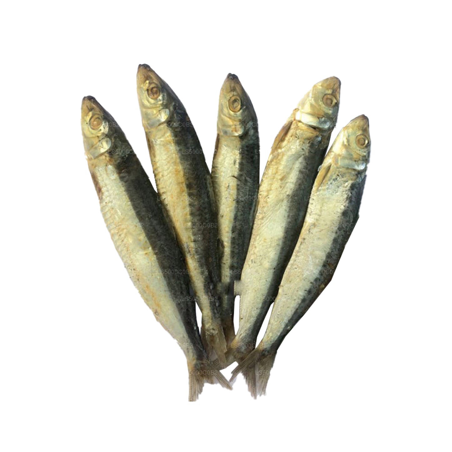 Lakpura Dried Hurullo (Spotted Sardinella Fish) 200g, Salted Dry Fish (Karawala)
