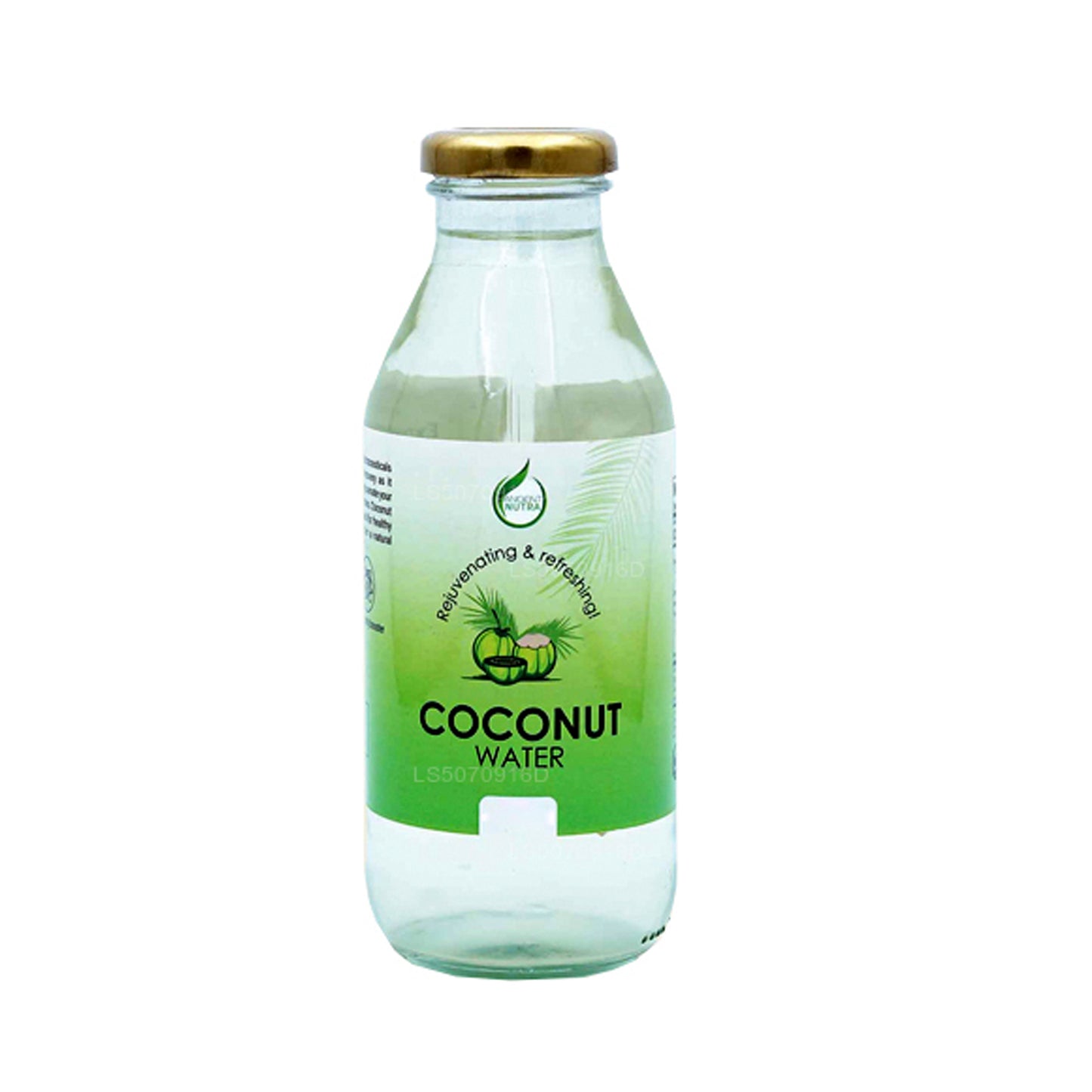 Ancient Nutra Coconut Water (330ml)