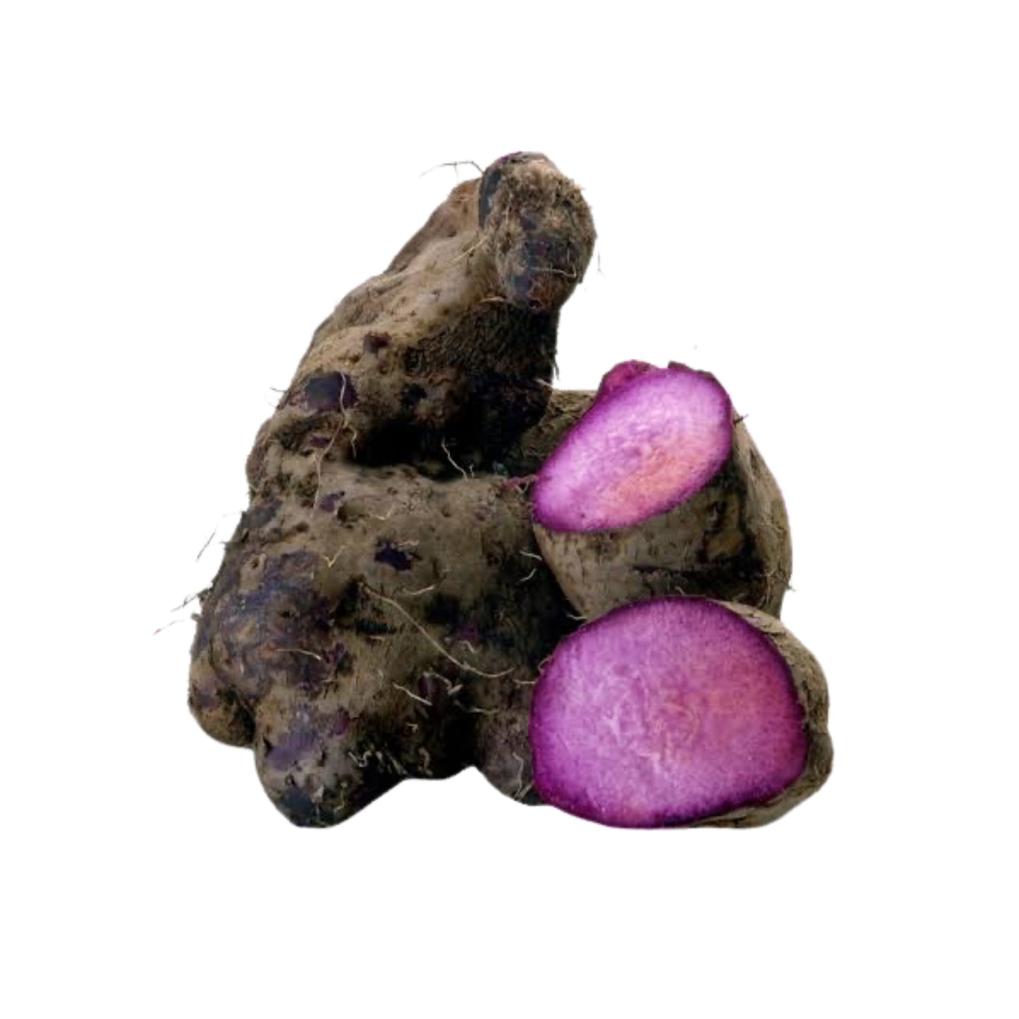 Lakpura® Purple Yam (Raja Ala)
