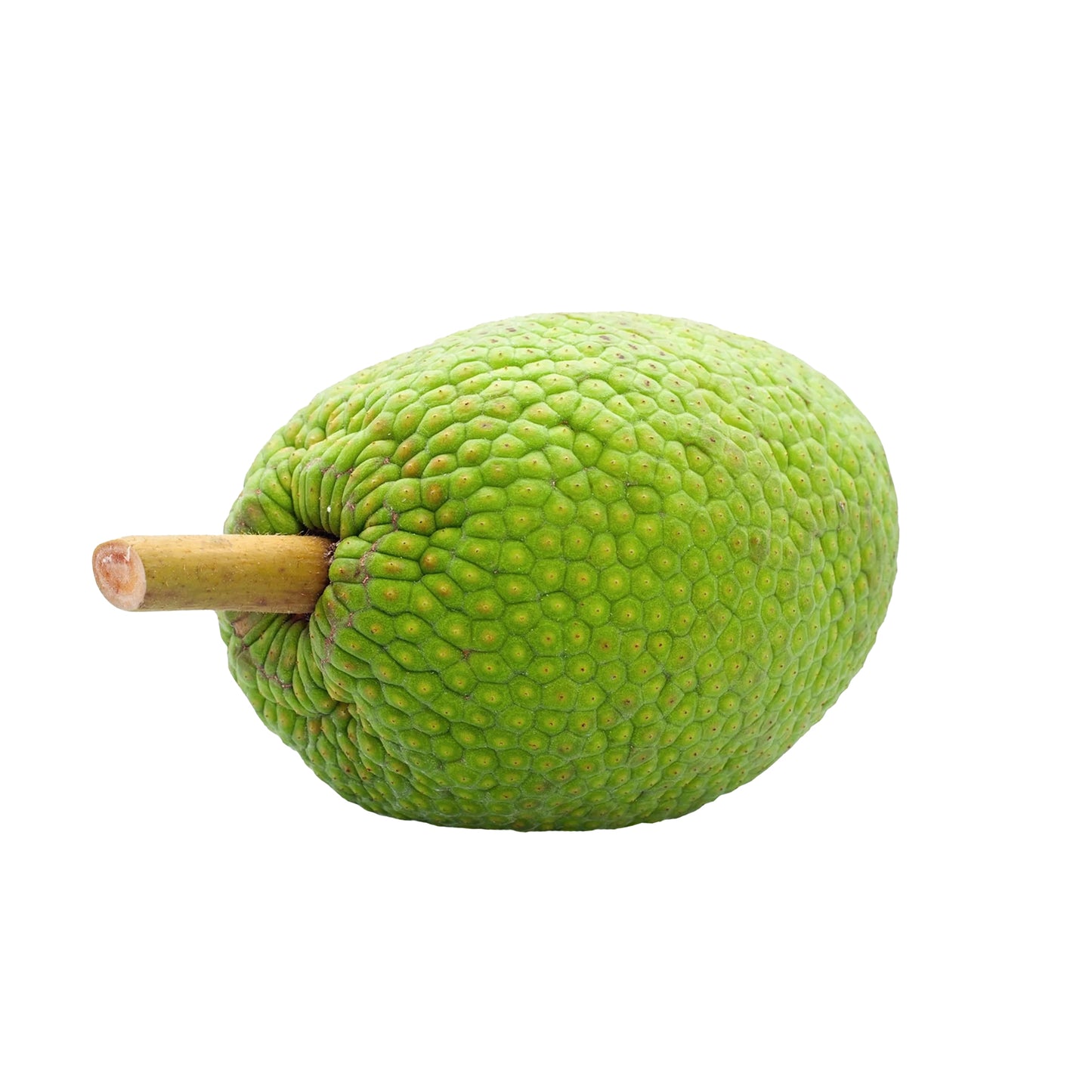 Lakpura® Breadfruit