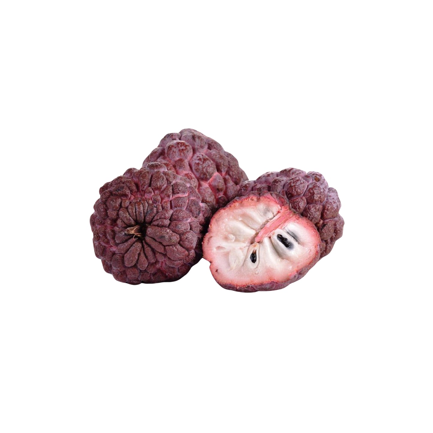 Lakpura® Red Custard Apple (Red Seeni Anodha) Fruit Plant
