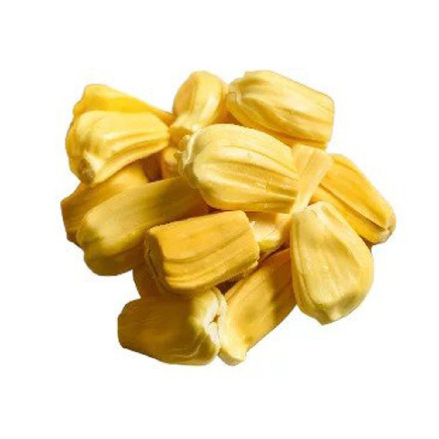 Lakpura Mandoor Jackfruit Plant