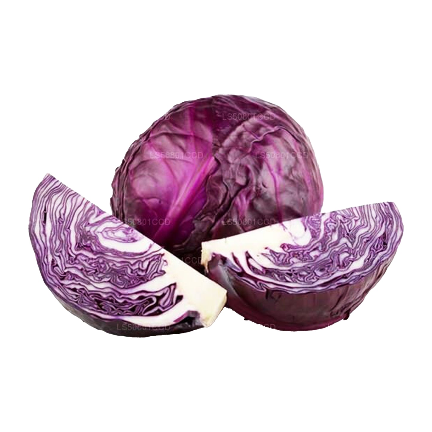 Purple Cabbage