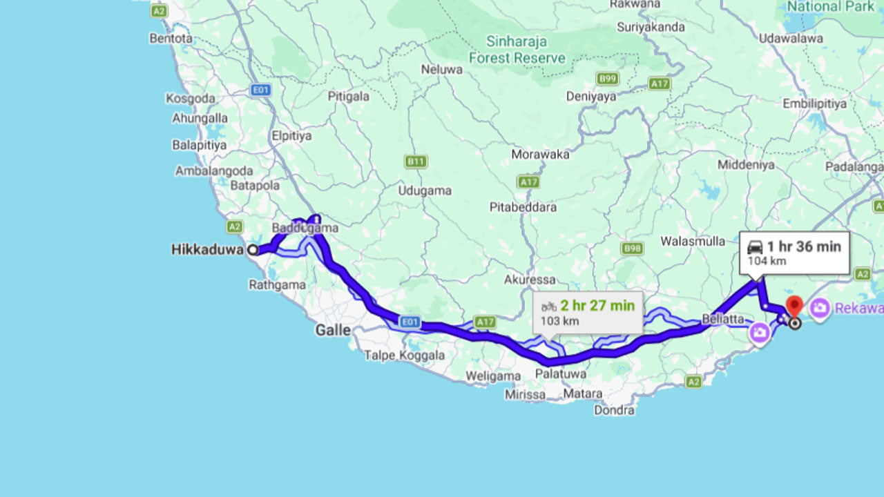 Baby Turtle Release from Tangalle