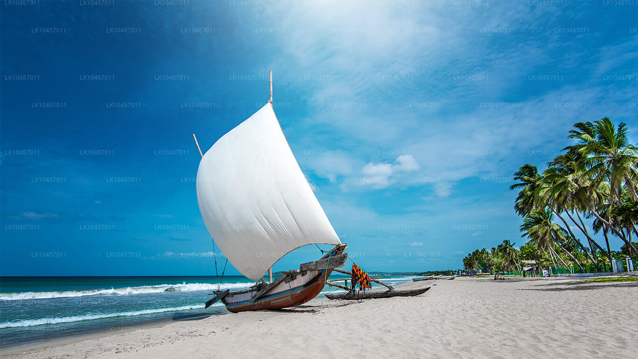 Rand ja linn (4 päeva)