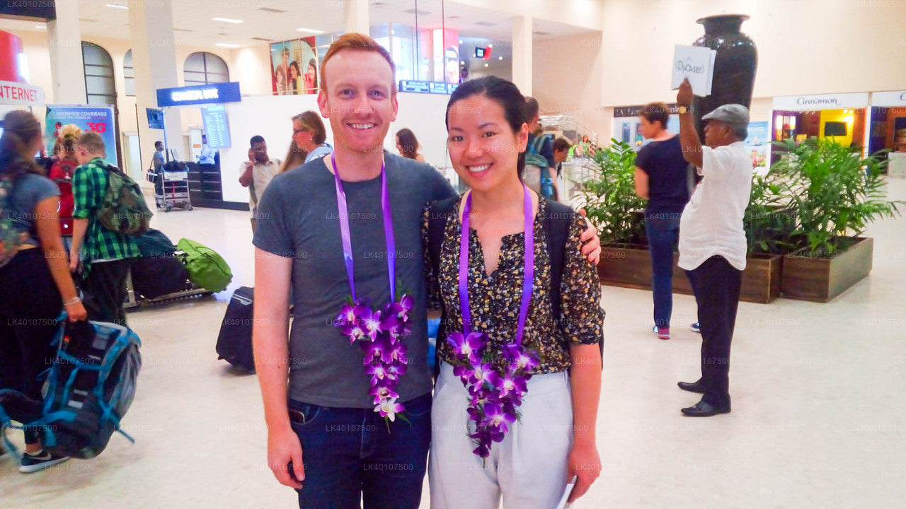 Colombo lennujaamast (CMB) Trincomalee linna privaatne transfeer