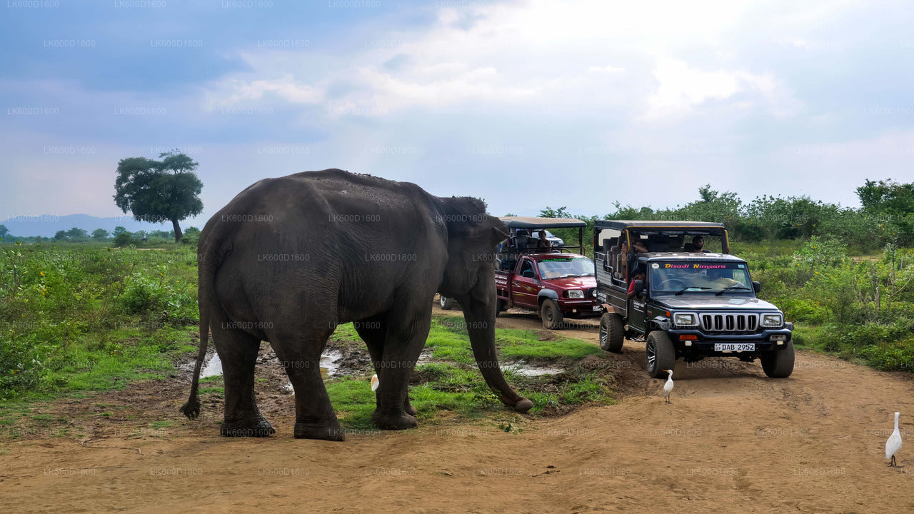 Udawalawe rahvuspargi safari Bentotast