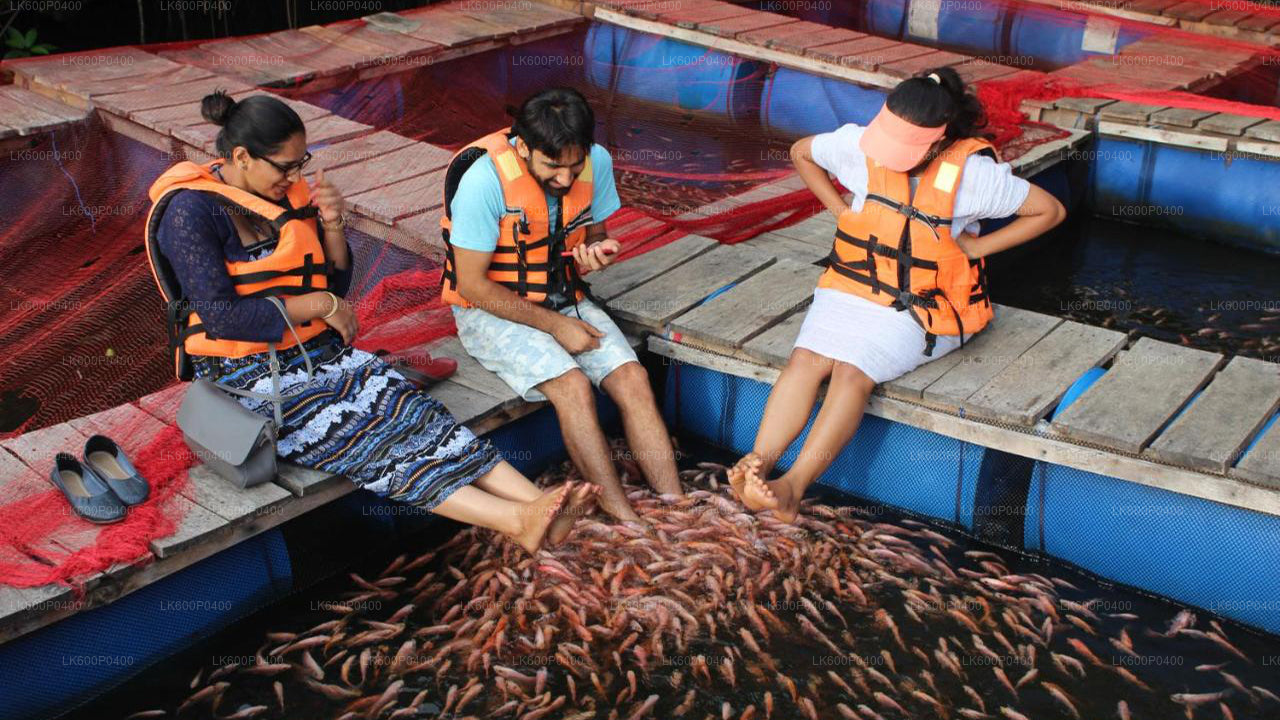 Bentota linnaekskursioon Galle'ist