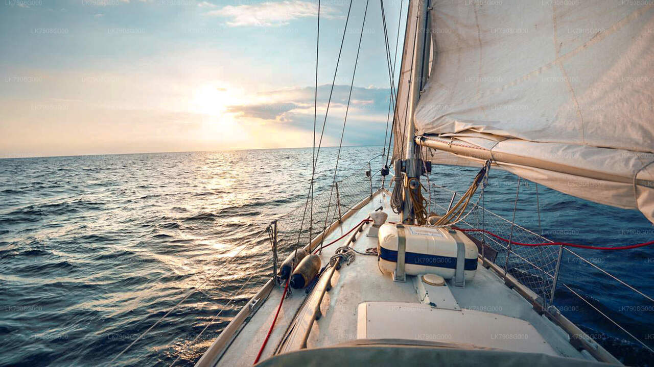 2-öine kruiisipuhkus Mirissas