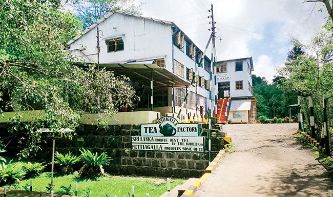 Pettiagalla Estate achieves an all-time record price