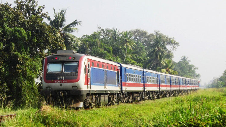 Denuwara Menike (1001)