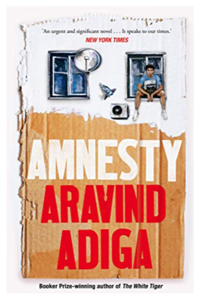Amnesty