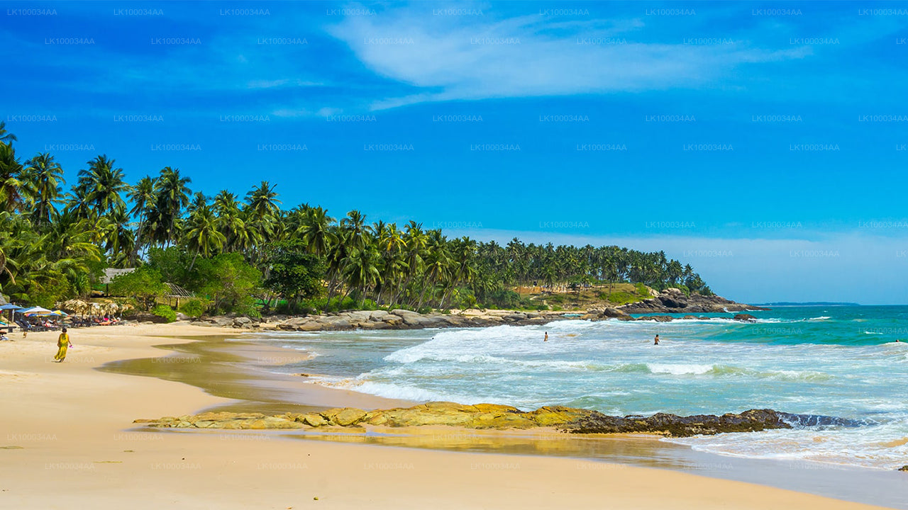 Avasta Sri Lankat koos Mahesh Abeyratnega