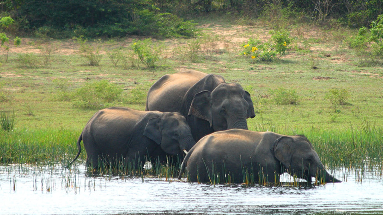 Escape to Paradise (11 Days)