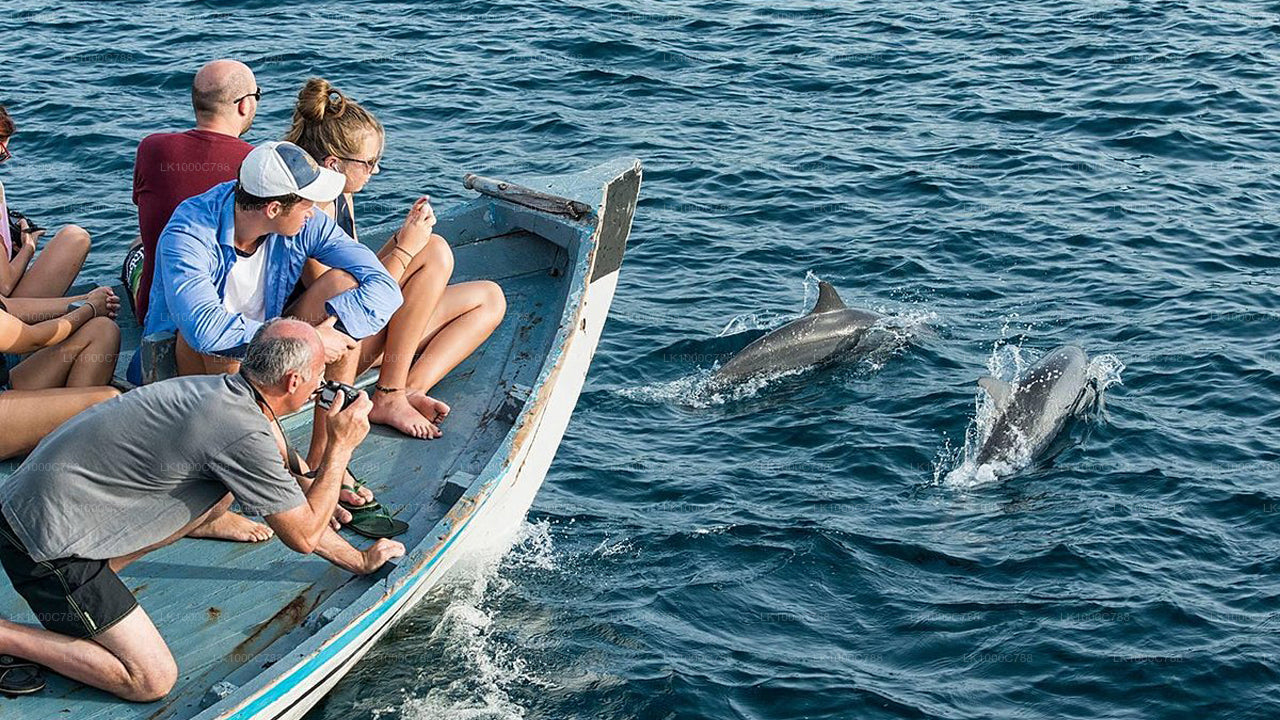 Dolphin Watching, Snorkeling, and Fishing Combined Tour at Trincomalee