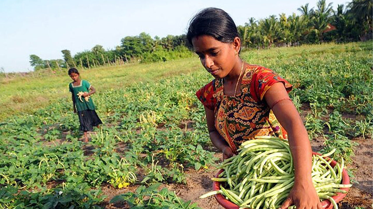 Jätkusuutlik tuur (10 päeva)