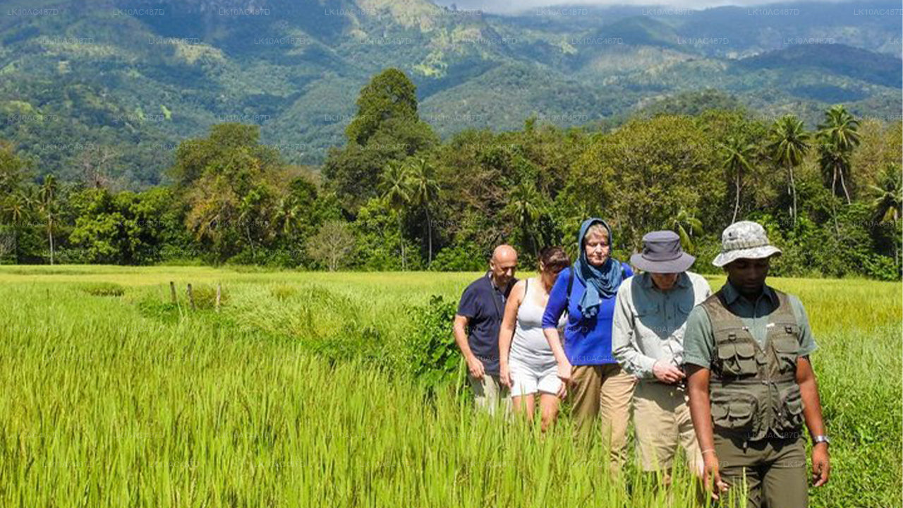Jätkusuutlik tuur (10 päeva)