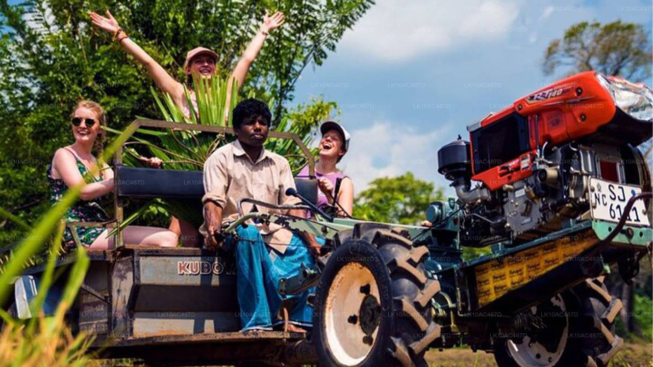 Jätkusuutlik tuur (10 päeva)