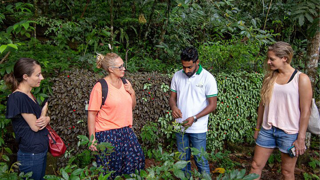 Jätkusuutlik tuur (10 päeva)