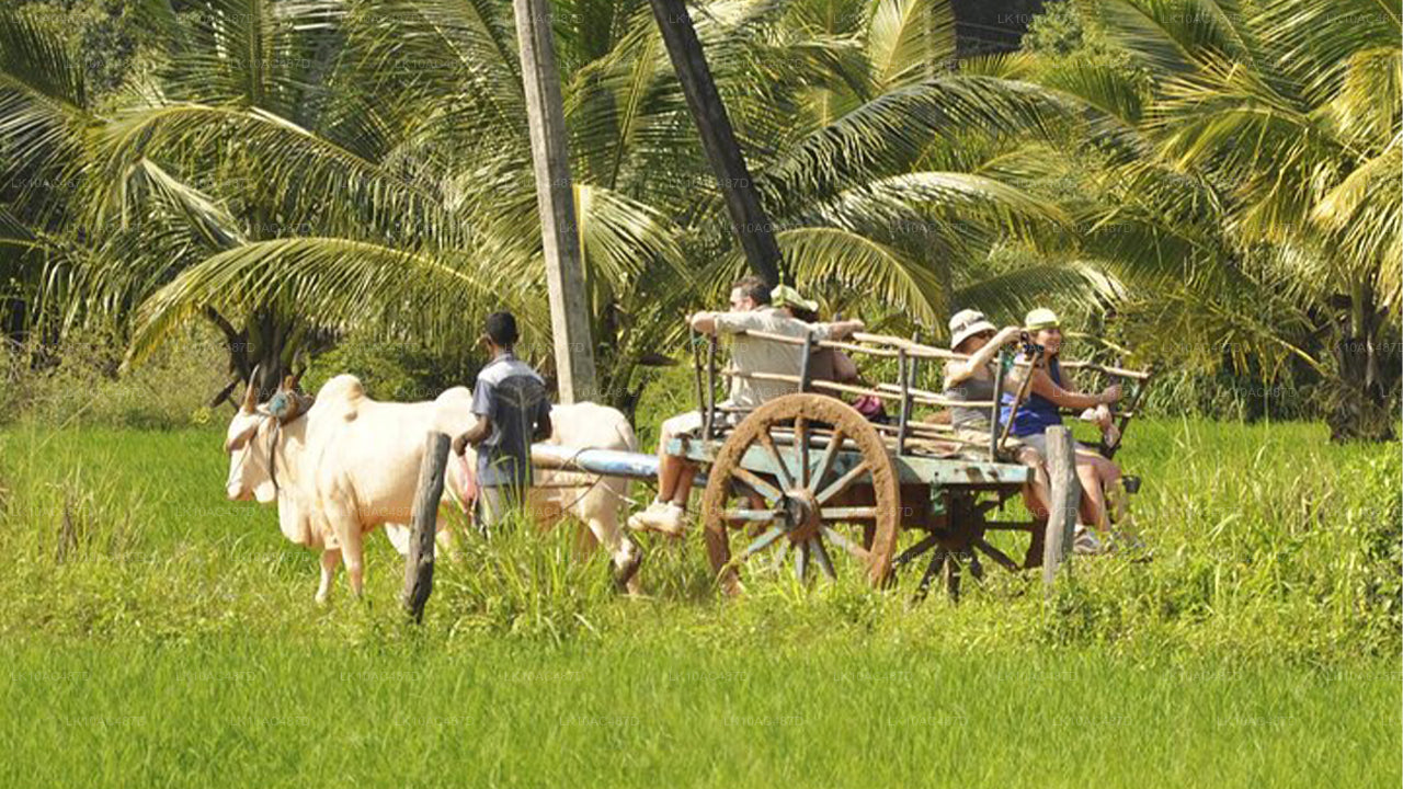 Jätkusuutlik tuur (10 päeva)