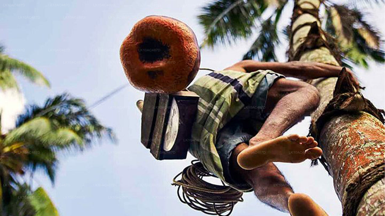 Jätkusuutlik tuur (10 päeva)