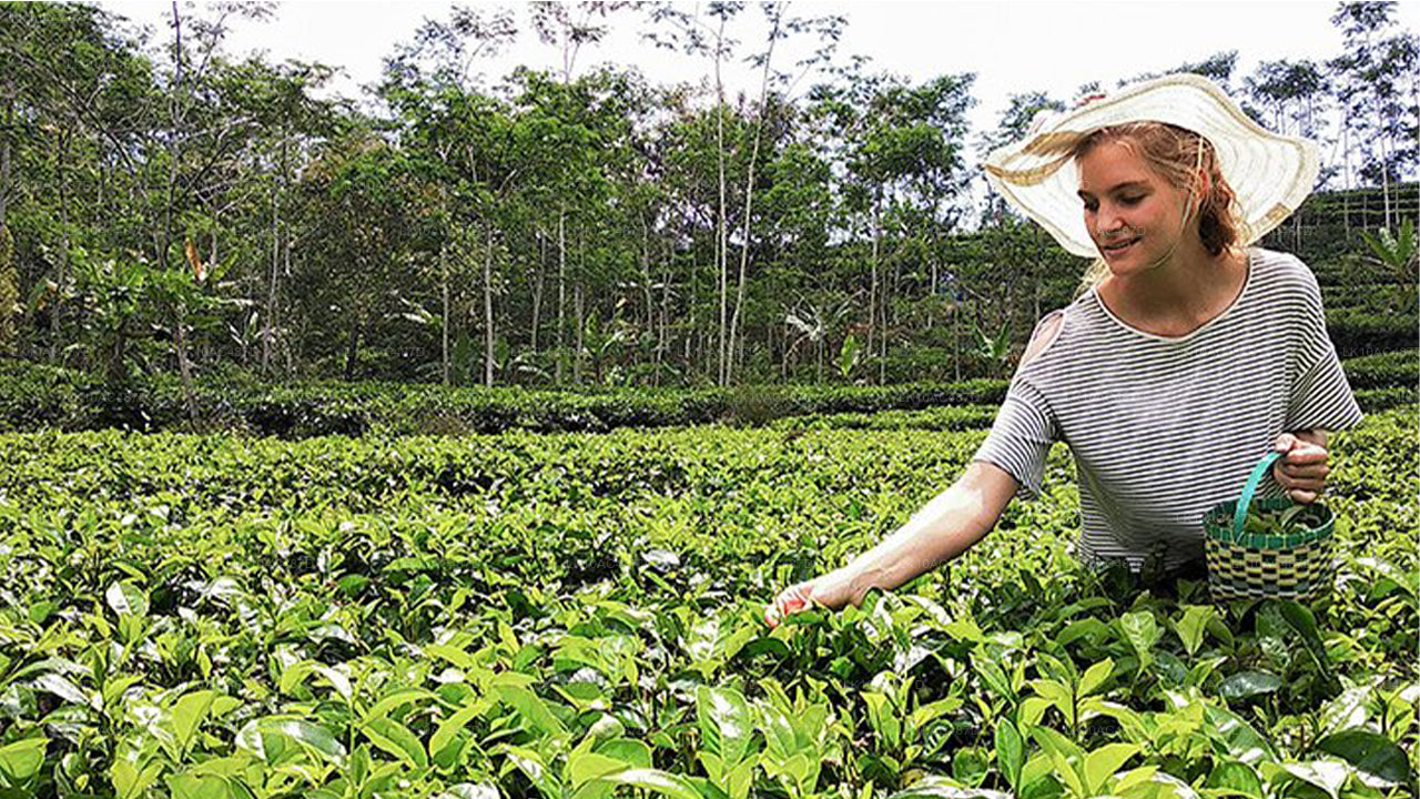 Jätkusuutlik tuur (10 päeva)