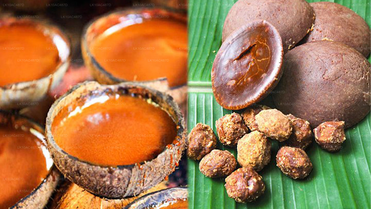 Jätkusuutlik tuur (10 päeva)