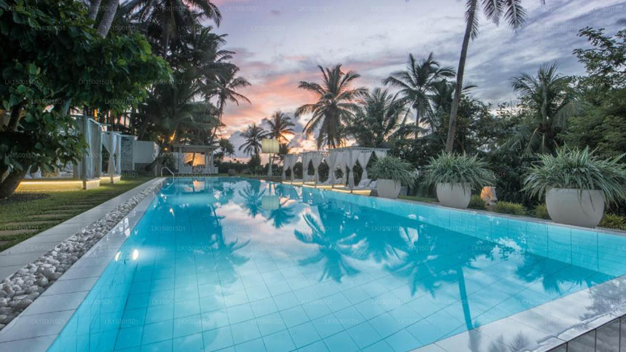 W15 Escape, Ahangama