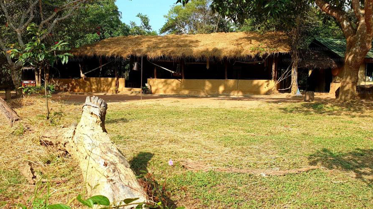 Kamatha Eco Lodge, Habarana