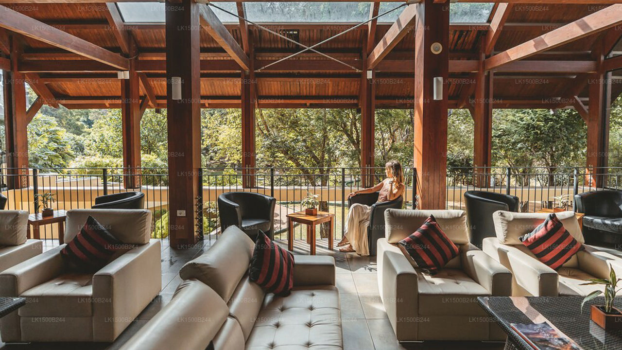 Occidental Paradise, Dambulla