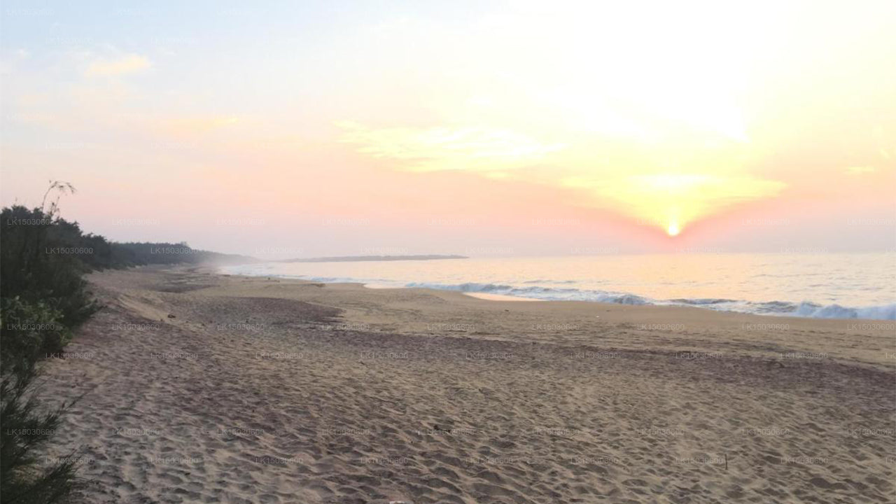 The Oasis Beach Resort, Hambantota