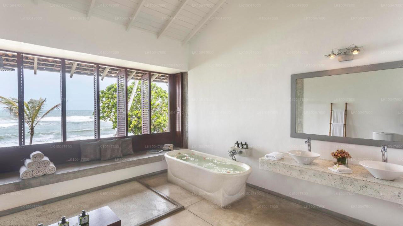 The Frangipani Tree, Talpe