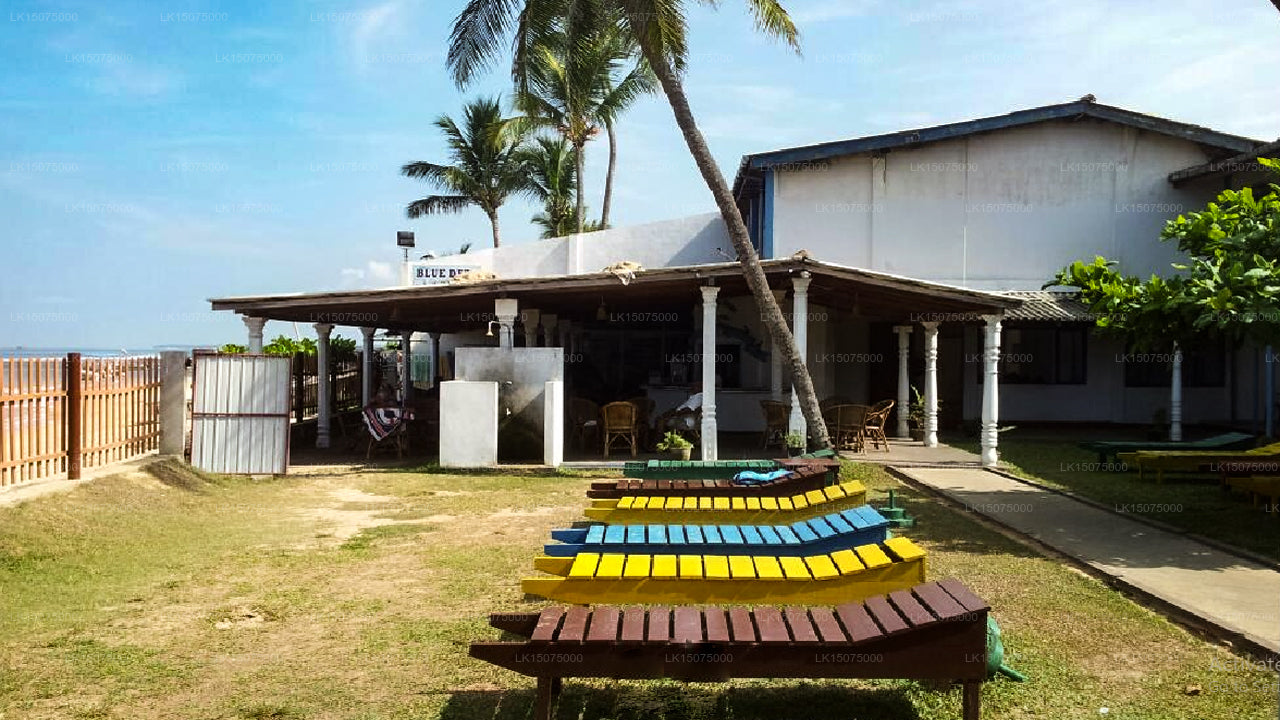 Coral Reef Beach Hotel, Hikkaduwa